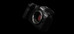 Canon EOS R5 Mark II with 24-105mm F4 USM Lens